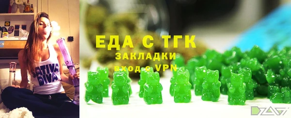 хмурый Алзамай