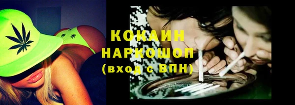 хмурый Алзамай