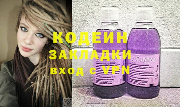 хмурый Алзамай