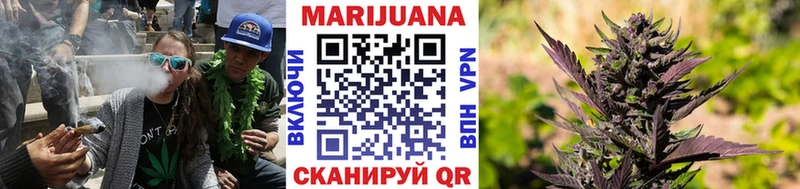 Бошки марихуана сатива  где найти   мориарти наркотические препараты  Анива 